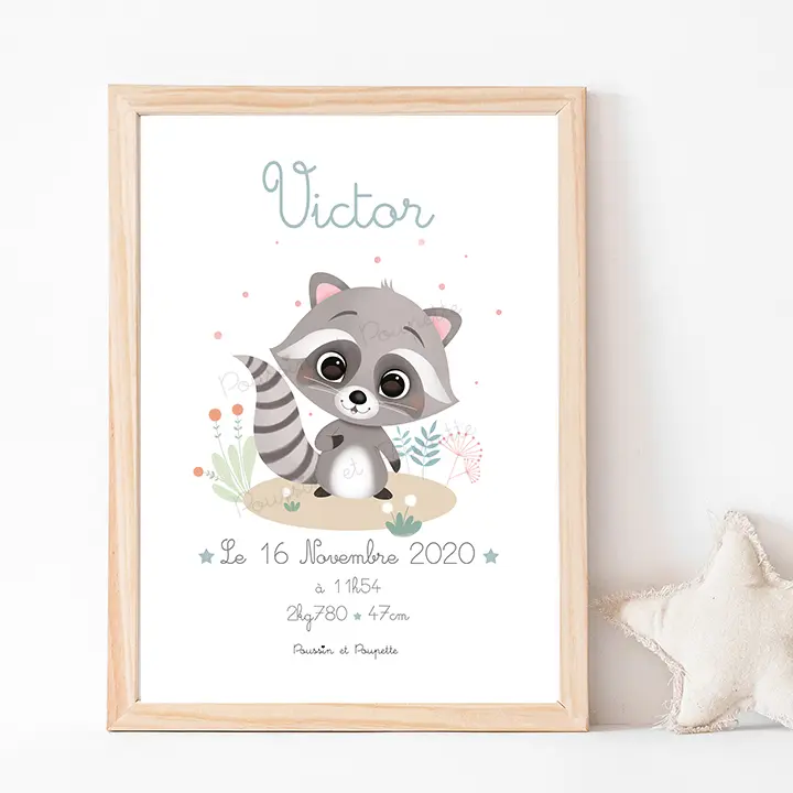 AFFICHE - NAISSANCE RATON LAVEUR