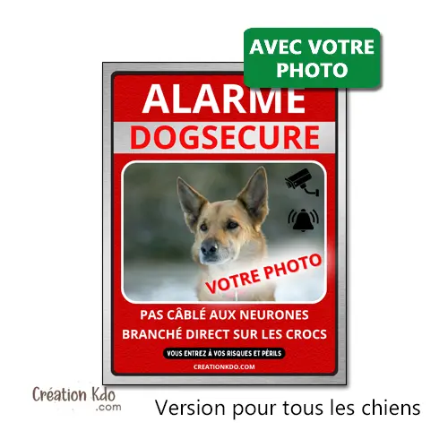 Alarme Dogsecure Plaque Photo personnalisée Panneau humour portail pour tout type de chien version portrait