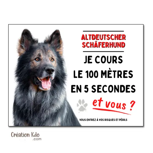 Altdeutscher Schäferhund Plaque chien humour je cours le 100 mètres ancien Berger Allemand panneau