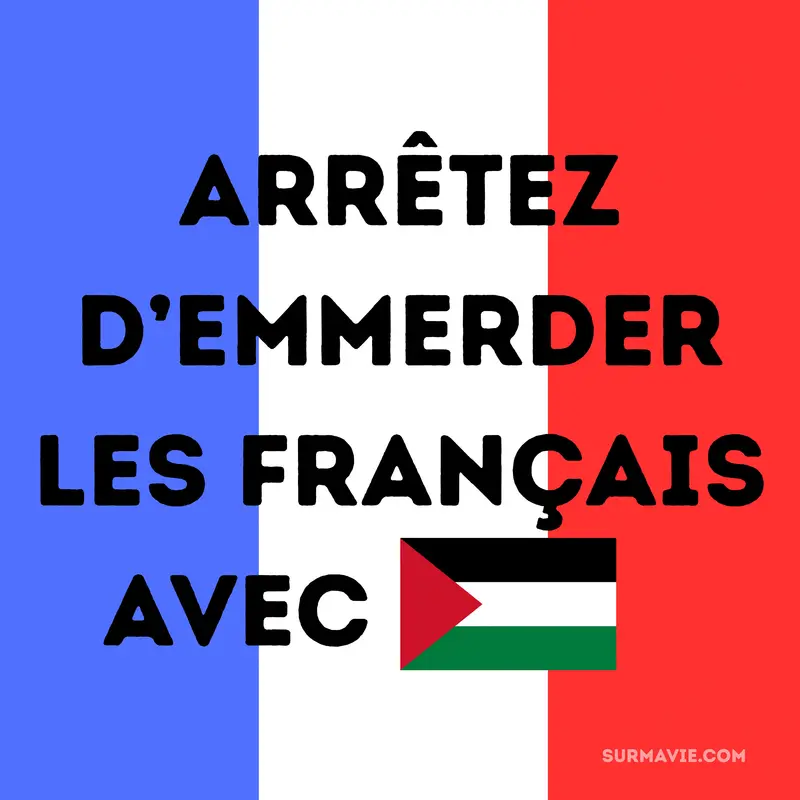 Arrêtez d’emmerder les français avec la palestine