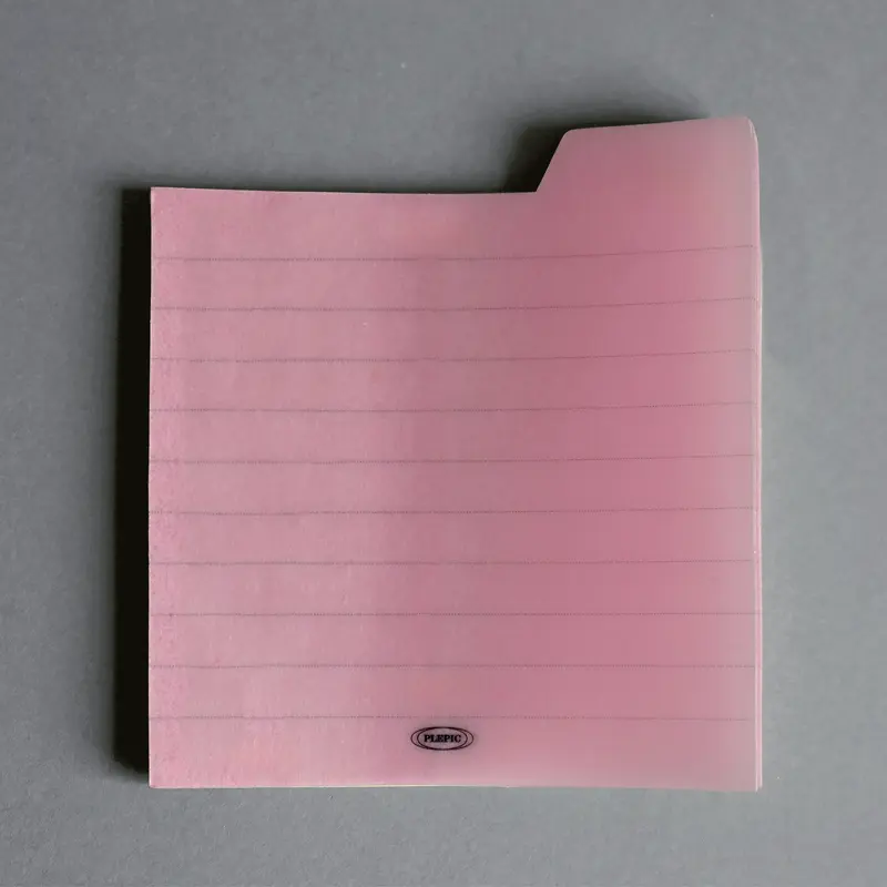 Bloc Note - Transparent rose rayure