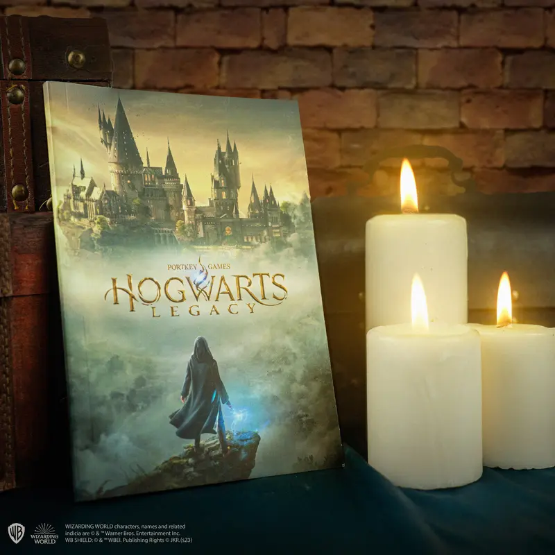*Carnet Hogwarts Legacy