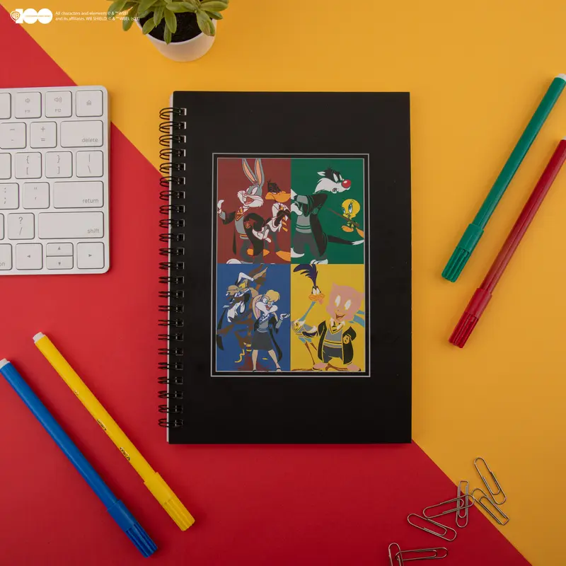 *Carnet Les maisons Poudlard des Looney Tunes