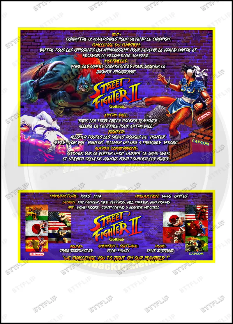 Cartes d'instructions custom apron flipper Gottlieb Street Fighter 1993 V1 (set de 2)