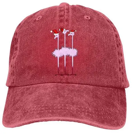 Casquette Flamant Rose Lutin de Noël