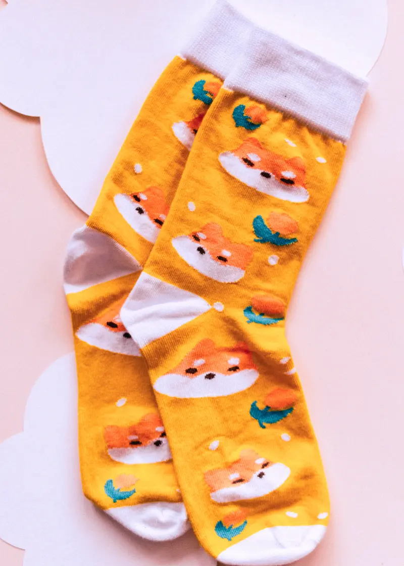 Chaussettes - Shiba tulipes