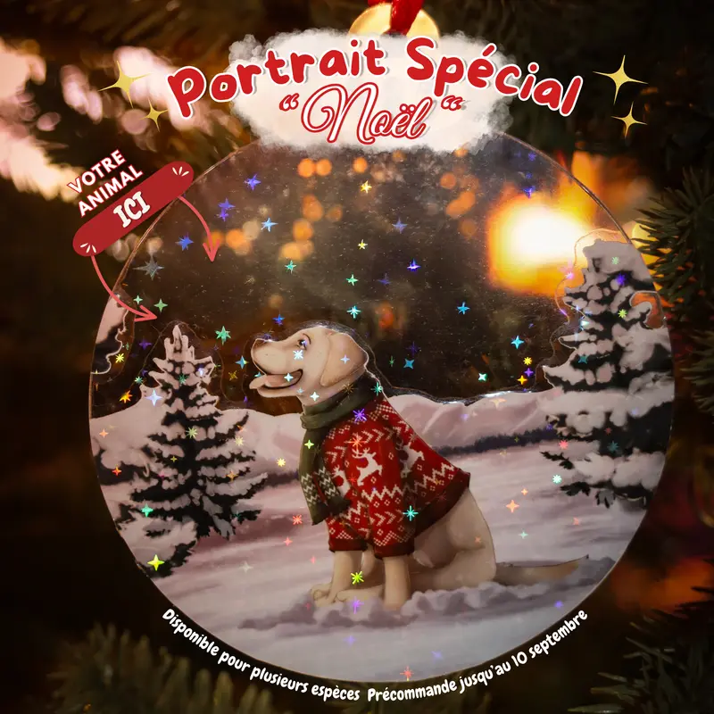 Décoration de sapin - Noël 2026