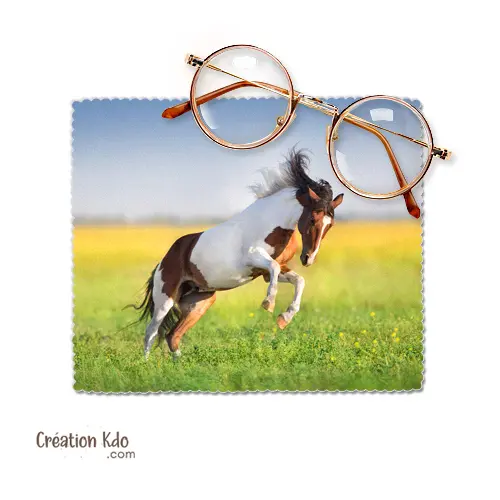 Essuie-lunette avec photo d'un cheval pie, en microfibre Chiffonnette petit chiffon