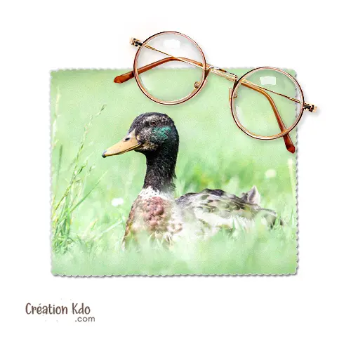 Essuie-lunette Chiffonnette nettoyante en microfibre chiffon motif oiseau Col vert canard