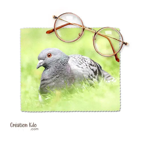 Essuie-lunette Chiffonnette nettoyante en microfibre chiffon motif oiseau pigeon