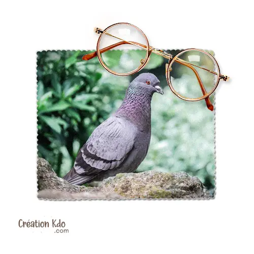 Essuie-lunette Chiffonnette nettoyante en microfibre chiffon motif photo oiseau pigeon
