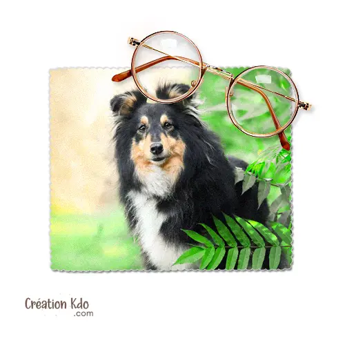 Essuie-lunette photo Berger des Shetland Sheltie tricolore Chiffonnette en microfibre