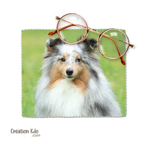 Essuie-lunette photo portrait Berger des Shetland Sheltie Chiffonnette tissu microfibre