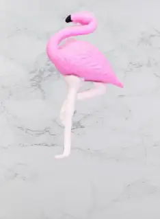 Gomme Flamant Rose