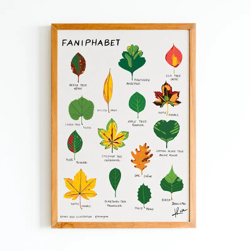 Illustration faniPhabet "Leaves"