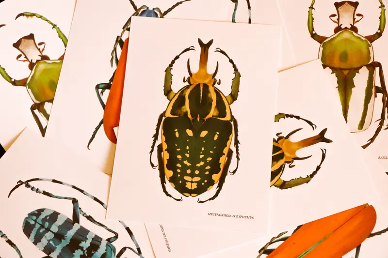Insectes