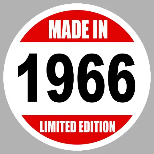 MADE IN 1966 MZ089
