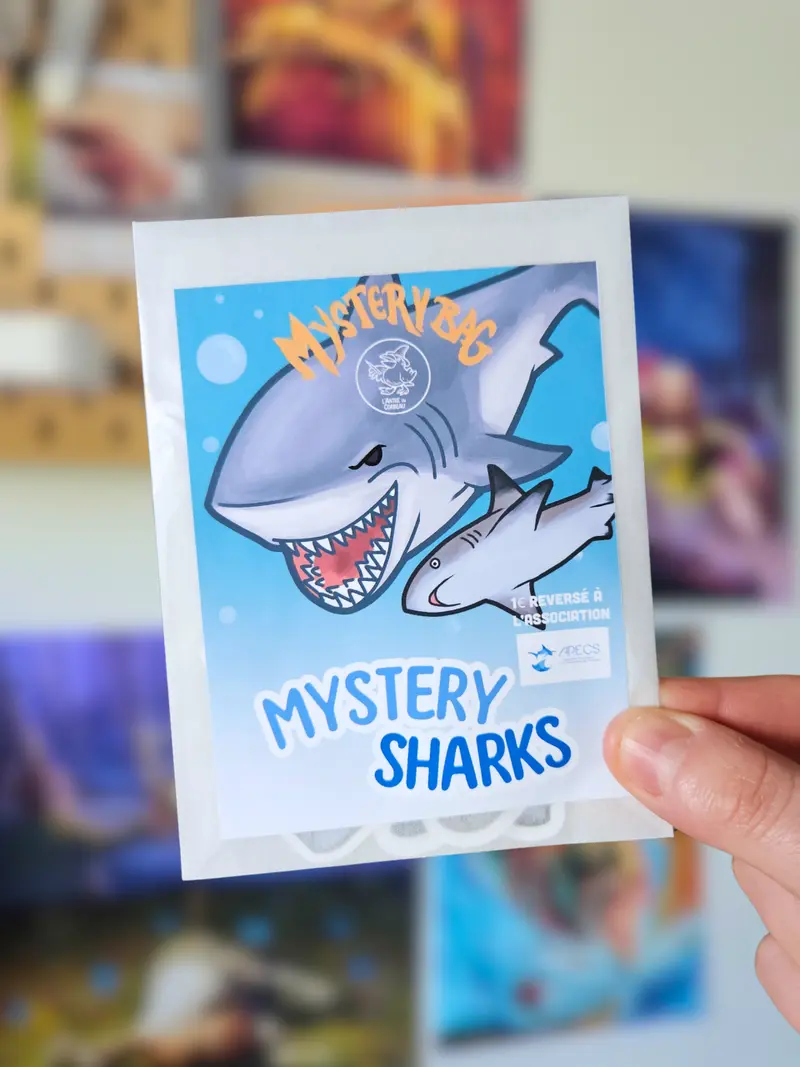 Mystery Bag Requins