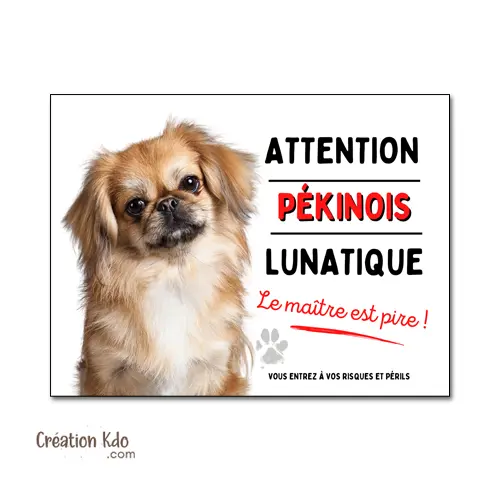 Panneau Pékinois Humour "Chien Lunatique, Le Maître est Pire !"