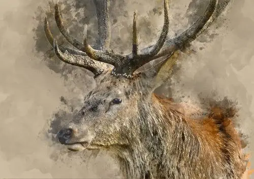 Papier de découpage Oui Cerf Menthe par Michelle