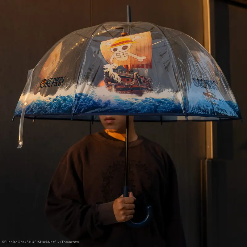 Parapluie Transparent Vogue Merry