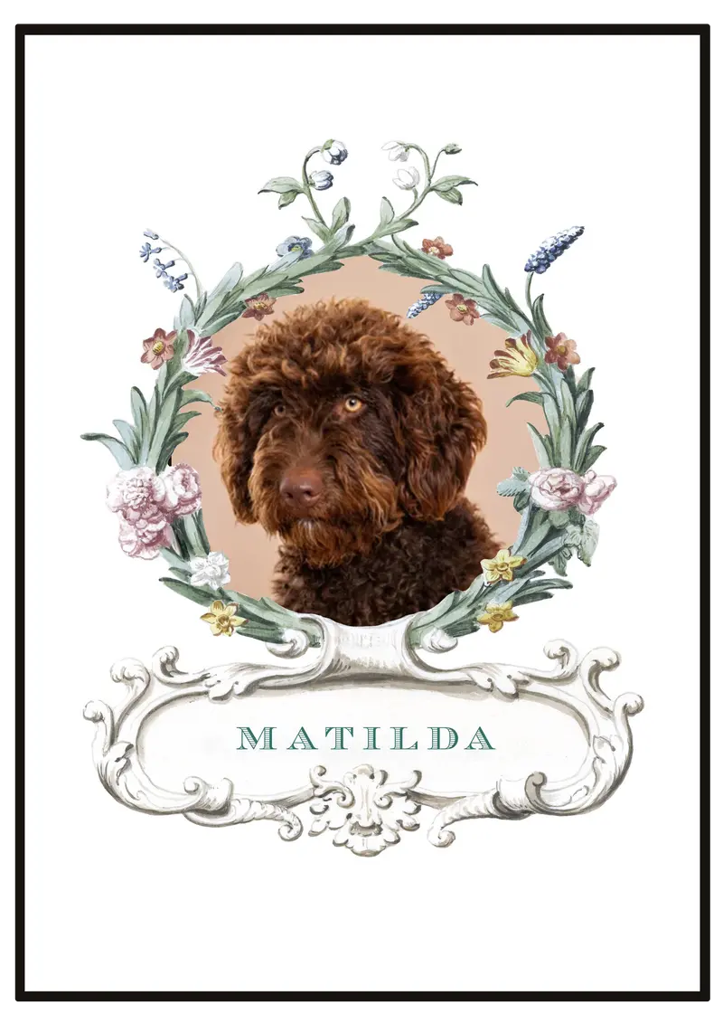 Pet Portrait - Palais Royal White