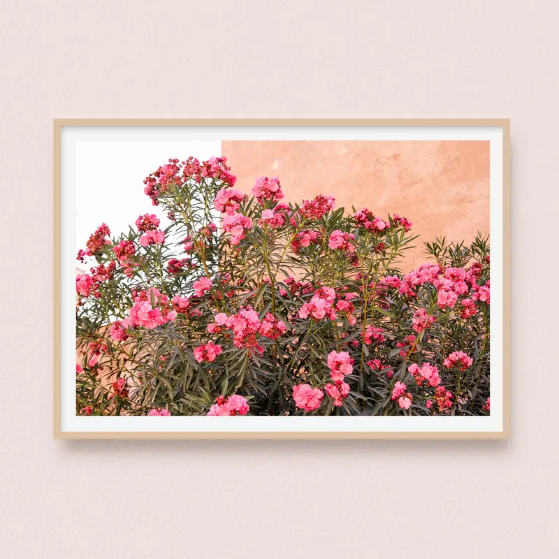 Photographie Jardin des tombeaux Saadiens | Marrakech Maroc