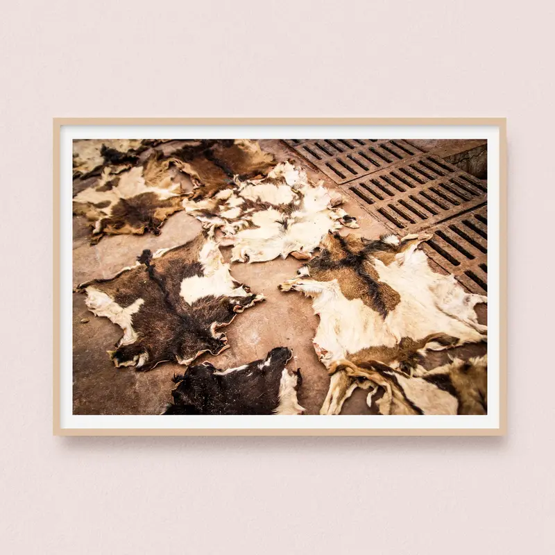 Photographie Tannerie | Marrakech Maroc