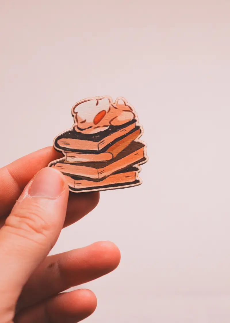 Pins en bois - Canard pile de livre