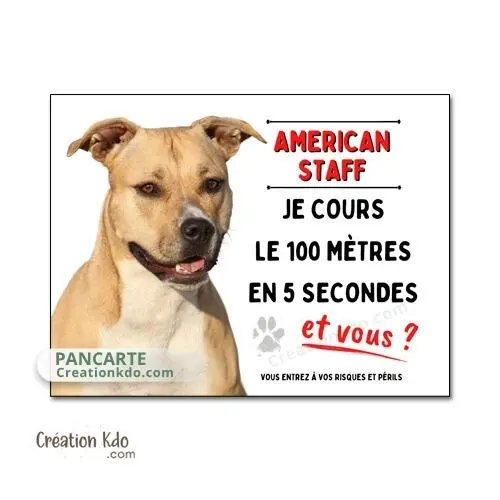 Plaque American Staff Panneau attention au chien humour Je cours le 100 mètres