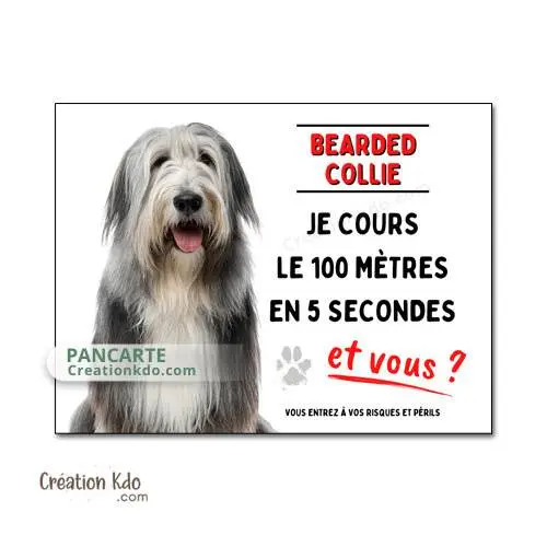 Plaque Attention au chien Bearded Collie humour je cours le 100 mètres panneau portail
