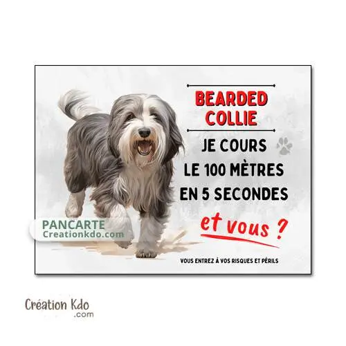 Plaque Attention au chien Bearded Collie humour je cours le 100 mètres panneau version dessin