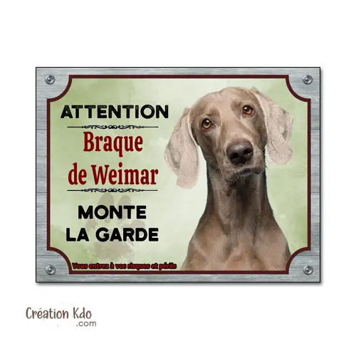 Plaque Attention au chien Braque de Weimar monte la garde panneau fond vert