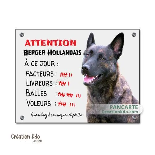 Plaque Berger Hollandais Attention au chien à ce jour humour panneau portail