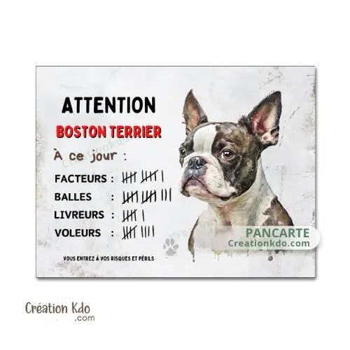 Plaque Boston Terrier panneau humour à ce jour Attention au chien pancarte