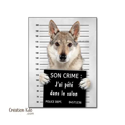 Plaque Chien-Loup Tchèque Humour "Mugshot" - Panneau Attention au Chien Bêtise Déco