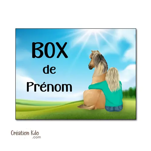 Plaque de box cheval à personnaliser couleurs et coiffures, panneau chevaux porte d'écurie avec prénom modèle prairie