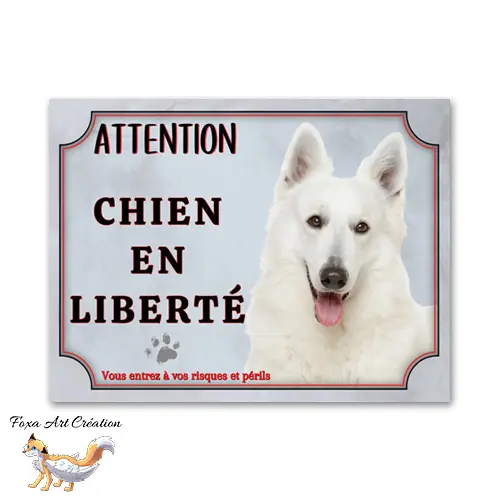 Plaque de portail attention au chien Berger Blanc Suisse en liberté