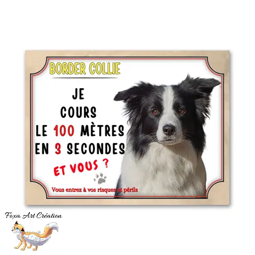 Plaque de portail attention Border Collie je cours le 100 mètres en 3 secondes et vous
