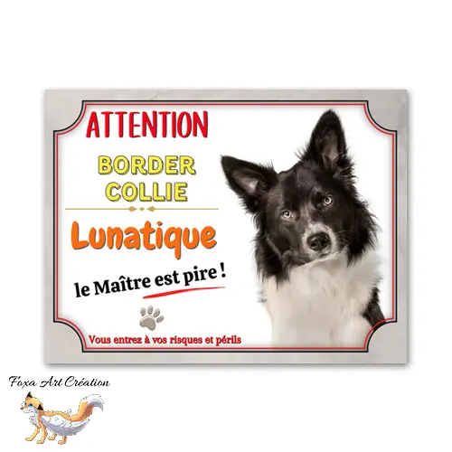 Plaque de portail humour Attention au Chien Border Collie lunatique le maitre est pire