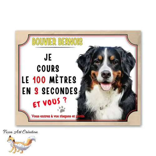 Plaque de portail humour Attention au chien Bouvier bernois je cours le 100 mètres en 3 secondes