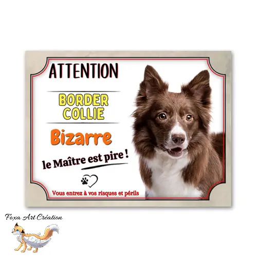 Plaque de portail humour Attention Border Collie bizarre panneau attention au chien