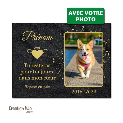 Plaque funéraire commémoratifs animal de compagnie avec Photo motif noir et doré