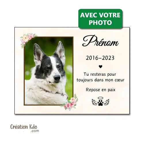 Plaque funéraire souvenirs commémoratifs hommage animal de compagnie Photo