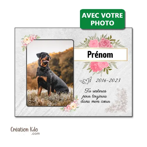 Plaque funéraire souvenirs commémoratifs pour votre animal de compagnie avec Photo