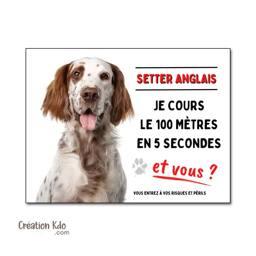 Plaque humour Attention au chien Setter Anglais je cours le 100 mètres Panneau de portail