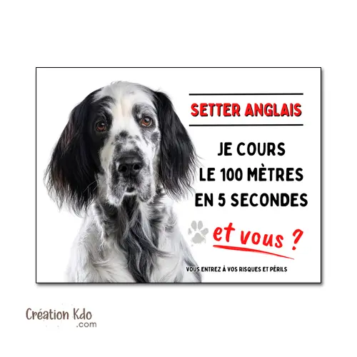 Plaque humour Attention au chien Setter Anglais tâches noires je cours le 100 mètres Panneau de portail