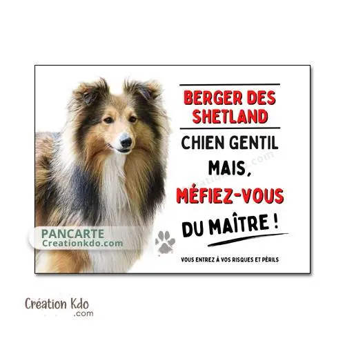 Plaque humour Berger des Shetland Panneau chien gentil mais méfiez-vous du maître