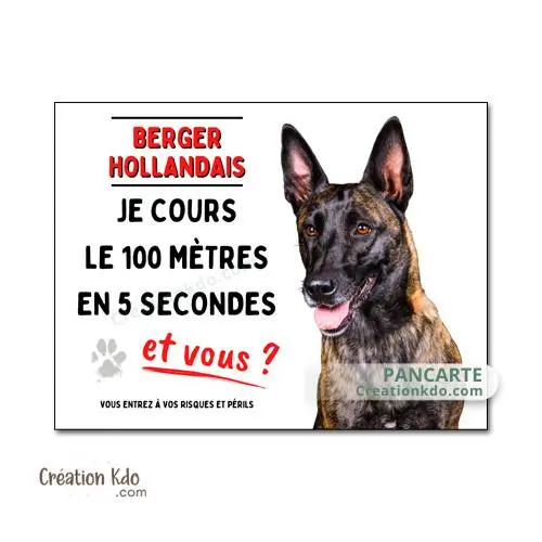 Plaque humour Berger Hollandais je cours le 100 mètres panneau chien portail