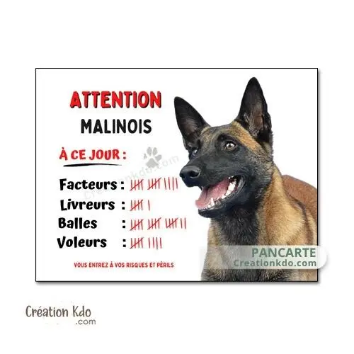 Plaque Malinois humour à ce jour facteurs...panneau Attention au chien berger Belge